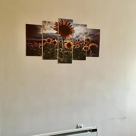 Lecti Sunflats - Maria Luiza Apartamento